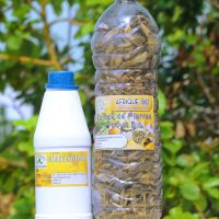 Cure de désintoxication pour tabac drogue