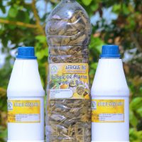 remède naturel du psoriasis